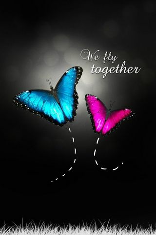 We Fly Together