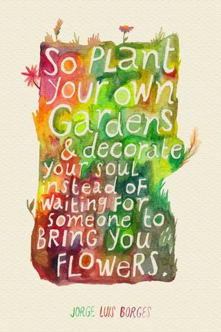 Посадите свой сад