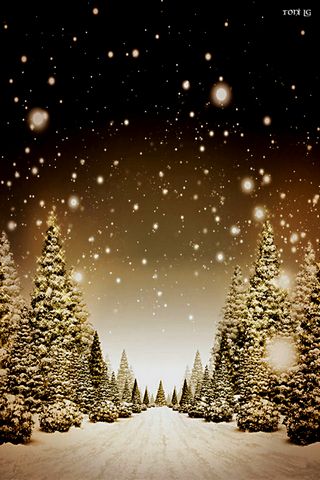 Christmas Snow โดย Toni Lg