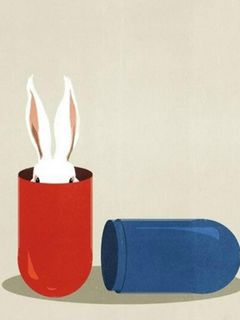 Rabbit Wallpaper - Download to your mobile from PHONEKY