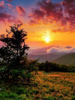 Sunset Time Wallpaper - Download to your mobile from PHONEKY