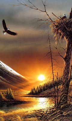 Painted Eagle Wallpaper - Download to your mobile from PHONEKY