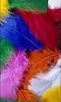 Color Feathers Wallpaper - Download to your mobile from PHONEKY