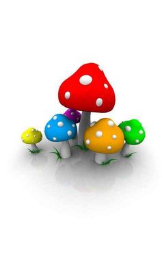 Mushrooms 3D Wallpaper - Download to your mobile from PHONEKY