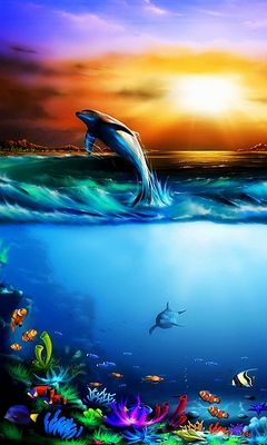 Dolphin Wallpaper - Download to your mobile from PHONEKY