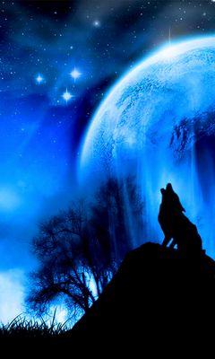 53+ Wolf Wallpaper Serigala Keren Free Download HD