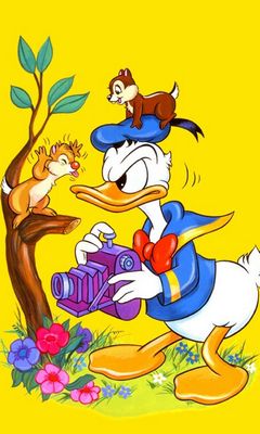 Hình nền  Bản vẽ hình minh họa động vật vịt Donald Tác phẩm nghệ  thuật hoạt hình Walt Disney NGHỆ THUẬT chim Phác hoạ 1680x1050   WallpaperManiac  195221  Hình nền đẹp hd  WallHere