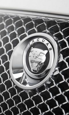 Jaguar Wallpaper - Download to your mobile from PHONEKY