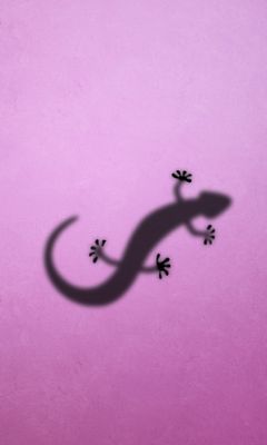 Lizard Wallpaper - Download to your mobile from PHONEKY