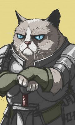 Armure De Chat Grincheux Fond D Ecran Telecharger Sur Votre Mobile Depuis Phoneky