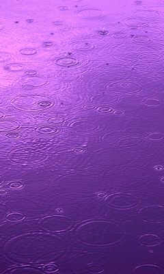 Purple Rain Wallpaper - Download to your mobile from PHONEKY