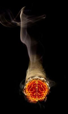 254725 Wallpaper - Download to your mobile from PHONEKY