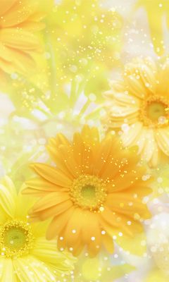 Yello Flower Wallpaper - Download to your mobile from PHONEKY