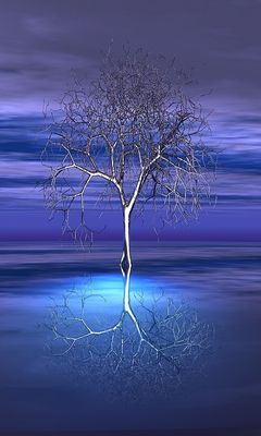 Silver Tree Wallpaper - Download to your mobile from PHONEKY