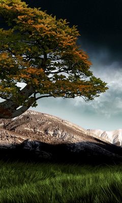 Treey Wallpaper - Download to your mobile from PHONEKY