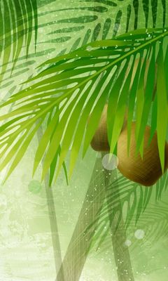 Coconut Tree Wallpaper - Download to your mobile from PHONEKY