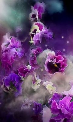Carol Cavalaris - Pansy Fantasy Wallpaper - Download to your mobile