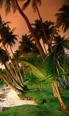 Download Plage de reve fond decran hd For iPhone Free
