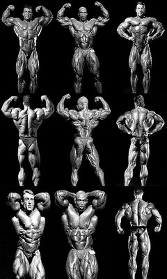 ronnie coleman BODY BUILDING POSTER HD Wallpaper Background Fine Art Paper  ON 24X36 Photographic Paper  Art  Paintings posters in India  Buy art  film design movie music nature and educational