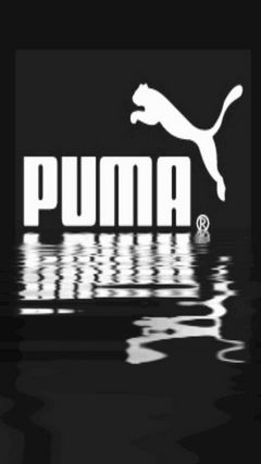Puma Wallpaper Download To Your Mobile From Phoneky