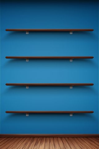 Skate Shelf