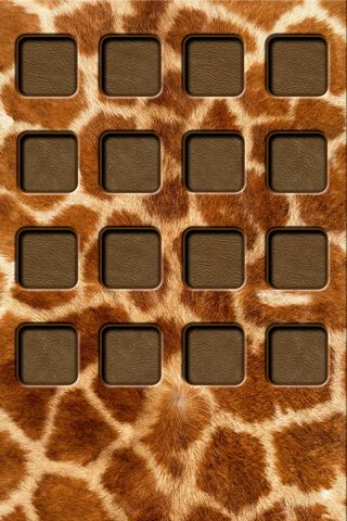 Giraffe Wallpapers  Animal Spot