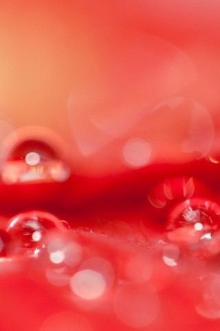 Gotas de agua roja