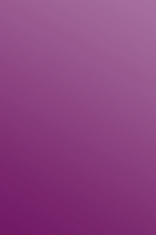 简单的紫罗兰