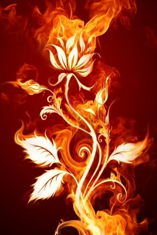 Вогонь квітка