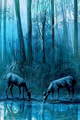 Animal Forest Water