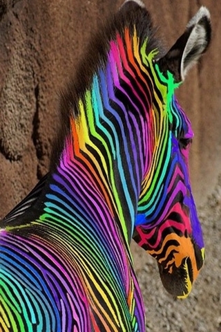 Zebra yang berwarna-warni