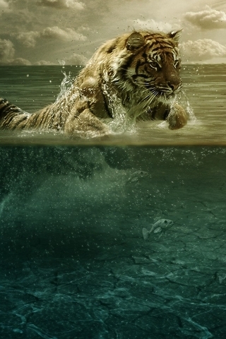 ว่ายน้ำเสือ