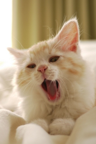 Yawning