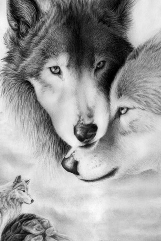 Pasangan Wolf
