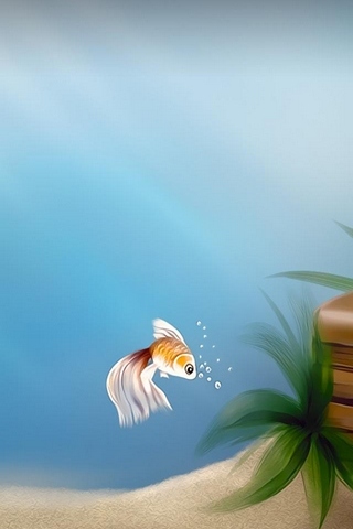 Fish In An Aquarium Wallpaper - Download to your mobile from PHONEKY