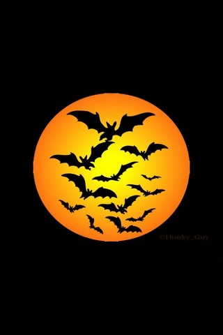 Halloween Bats 640x1136