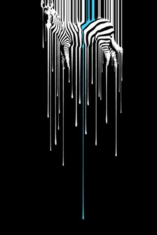 Zebra Melting - IPhone5