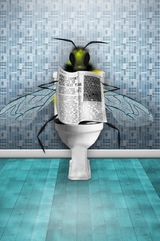 Fly On The Loo
