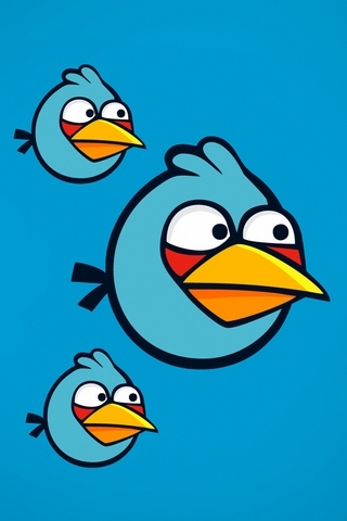 HD angry birds wallpapers  Peakpx