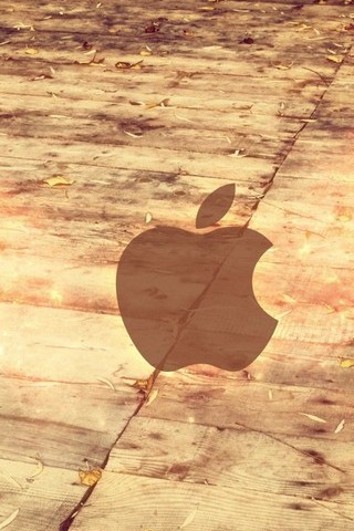 Apple Logo Wood Floor