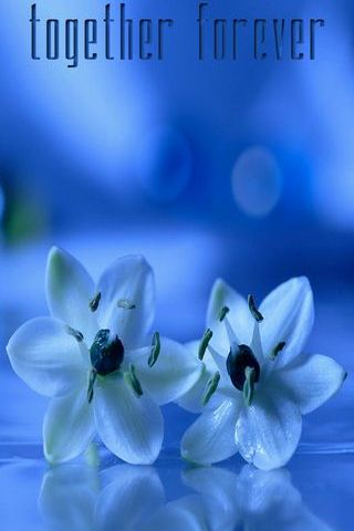 Together Forever