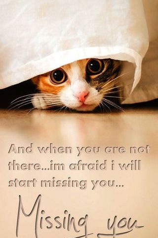 Missing You