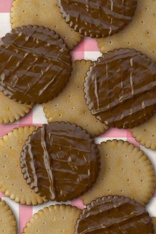 Chocolate Biscuits