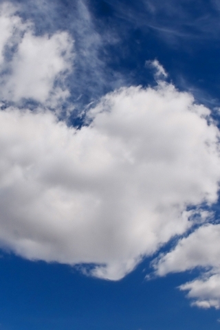 Heart Cloud
