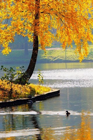 Herbst See