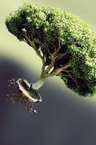 Tree Roots