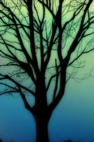 Silhouettes Tree