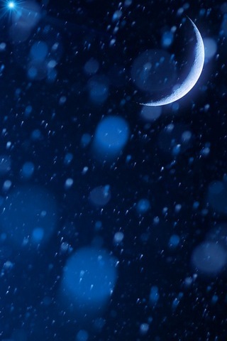 Snowy Night