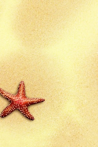 Starfish Home/Lock Screen (IP5)