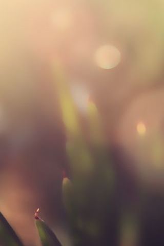 Nature 021